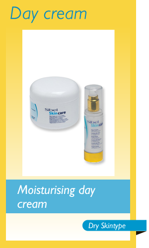 Moisturising day cream