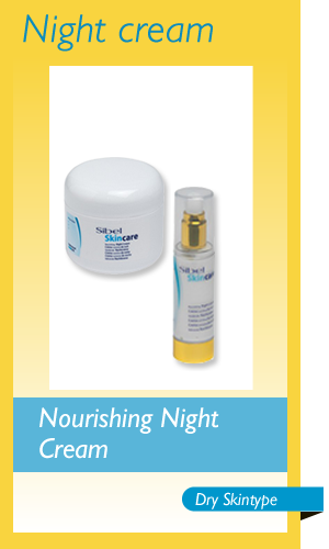 Moisturising day cream